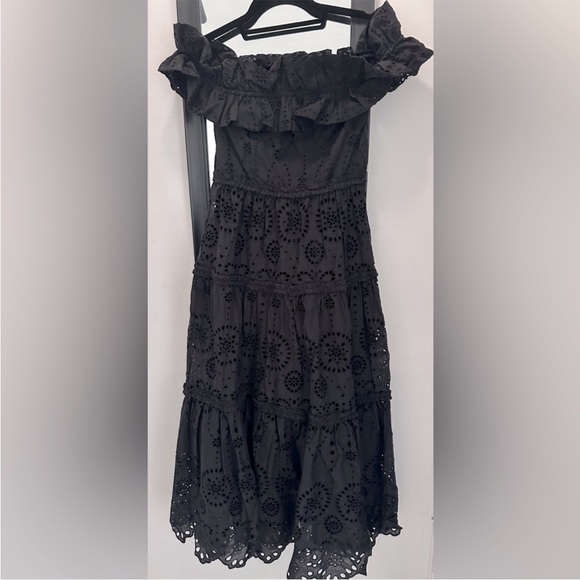 ZARA NWT BLOGGERS FAV EMBROIDERED MIDI DRESS 🌸 - Picture 10 of 11